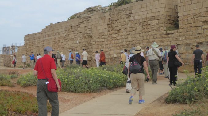 crusaders wall