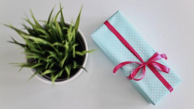 antonio-janeski-gift-feature